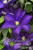 b0d920ab1b8f82f1e42db0e9c5bd8c0a b0d920ab1b8f82f1e42db0e9c5bd8c0a
