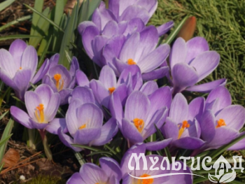 Дизайн без названия (31)