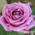 998c6bd2b01d701a8b8b9baf898dceb5
