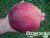 image_8255520_16476942 image_8255520_16476942