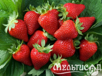 image_7681564_15014704