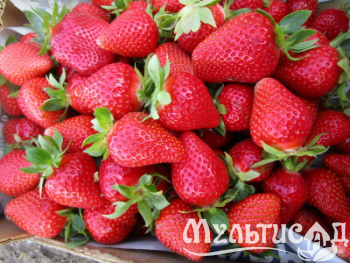 image_7681564_15014396