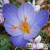 75f968953b2461c2c546cad2ef2d23fa 75f968953b2461c2c546cad2ef2d23fa