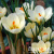 7d1f1f9a340be23aac2d4b88d5b340ee 7d1f1f9a340be23aac2d4b88d5b340ee