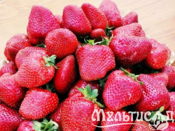 image_7681564_15013108