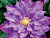 image_7681564_14979908