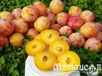 Креатив без названия (8)
