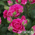 ee7453c2fcad971ffbf76c6fe1616dd1 ee7453c2fcad971ffbf76c6fe1616dd1