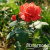 aa8812cfbb49b9154b551d45cf90bb45