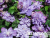 image_7681564_14979927 image_7681564_14979927