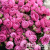 937dfba3290d84d997e829708b12f128